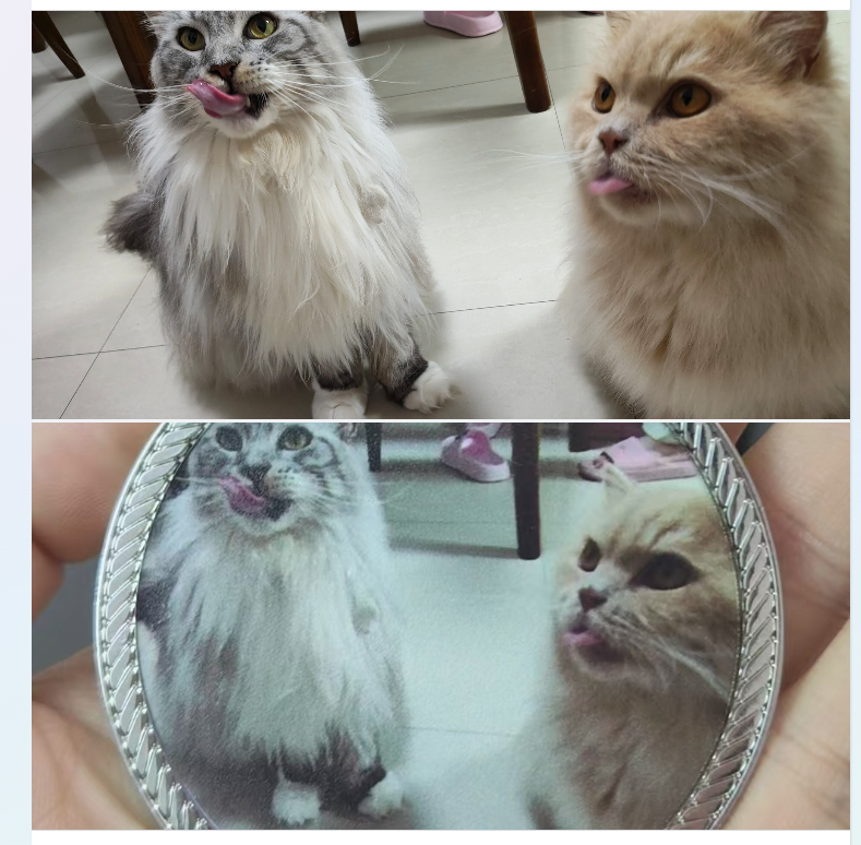 Original photo of a silver-and-white cat licking its nose beside a cream ginger cat with its tongue out